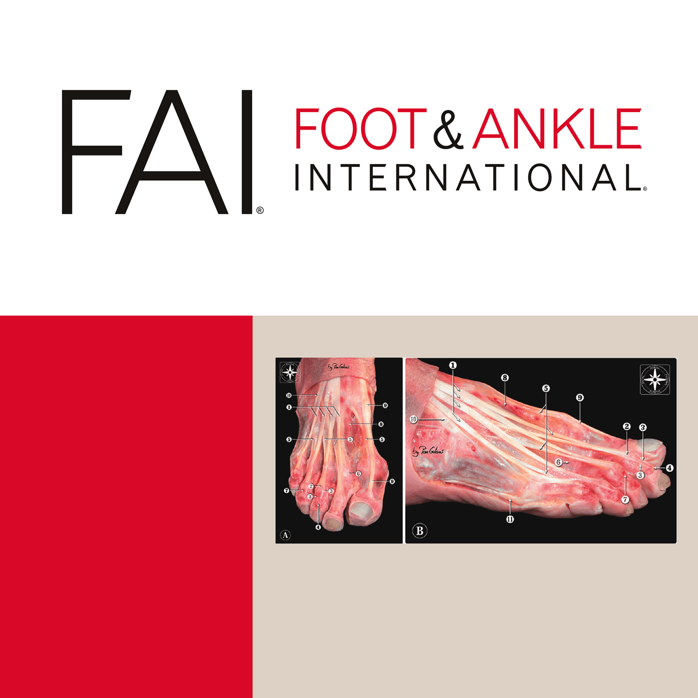Foot & Ankle International podcast artwork