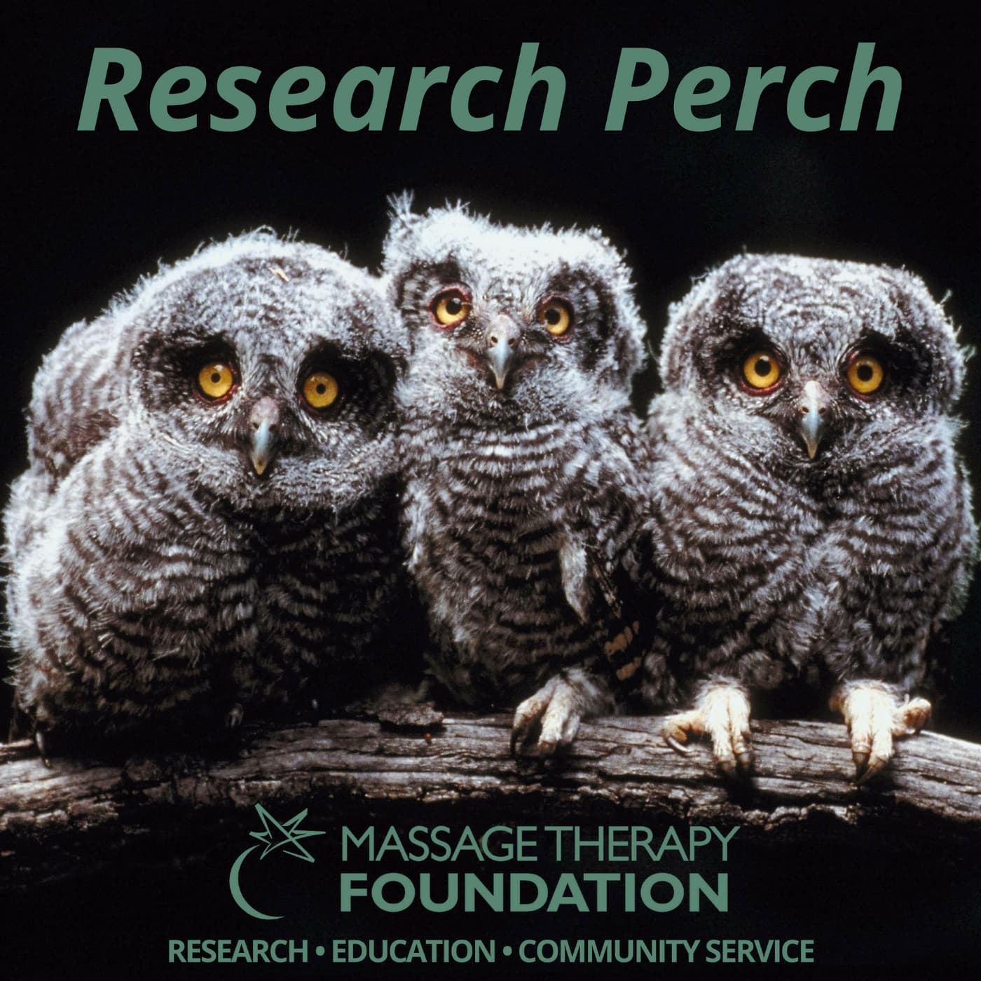 Research Perch podcast artwork