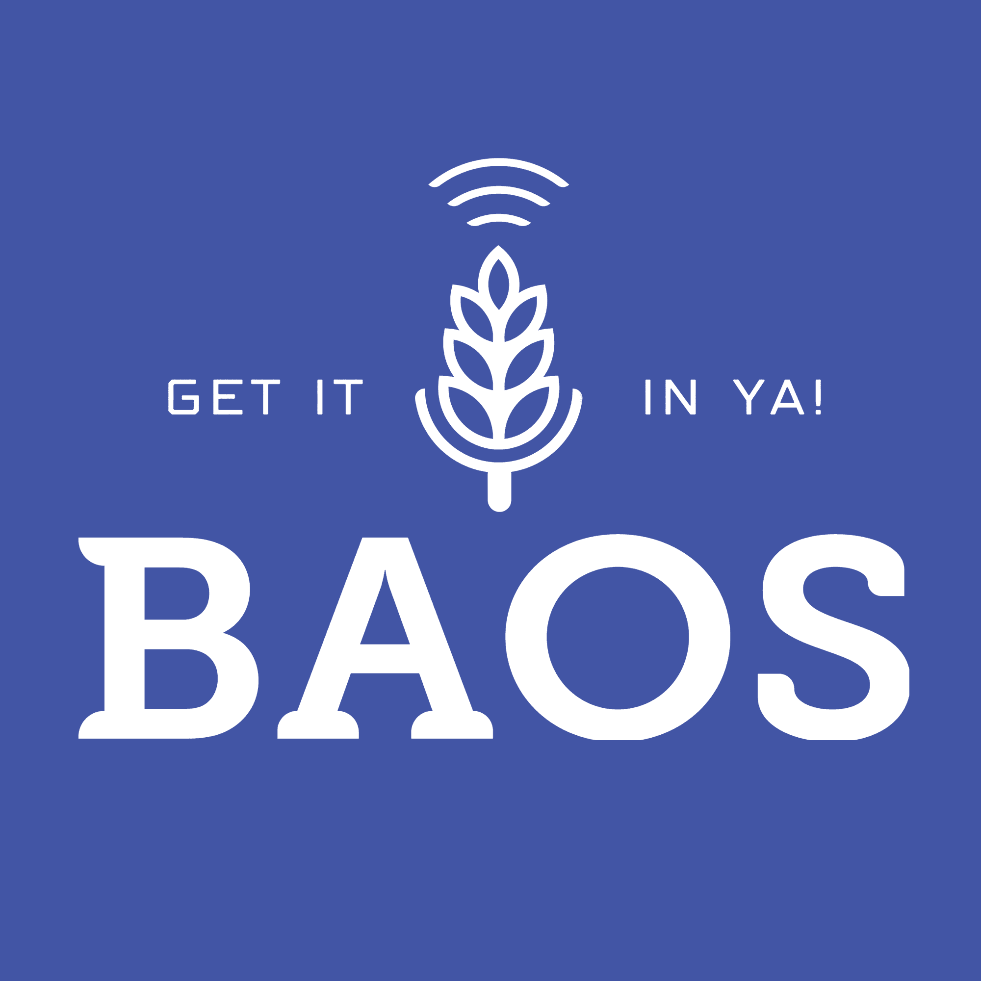 BAOS: Beer & Other Shhh Podcast podcast artwork