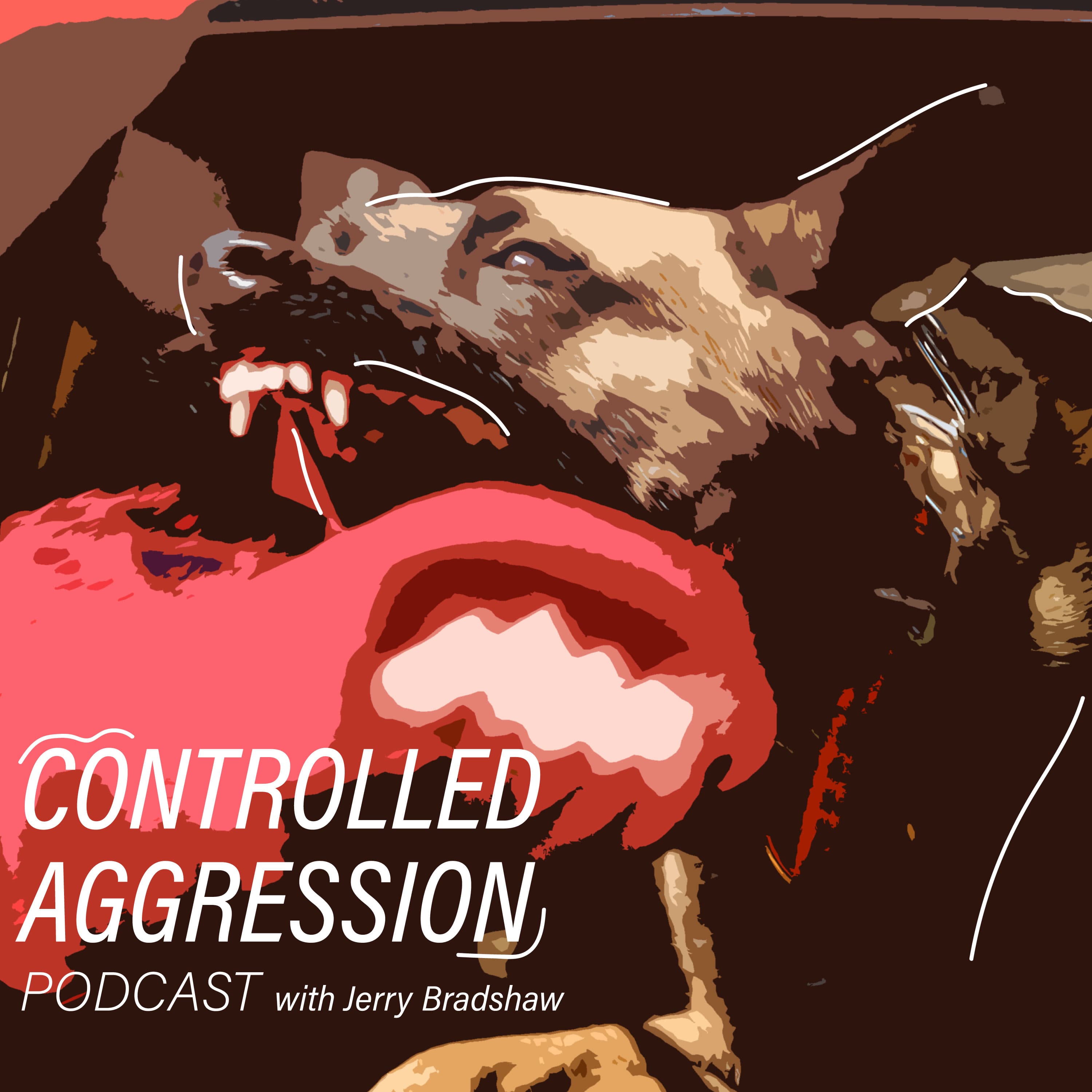 Controlled Aggression podcast artwork