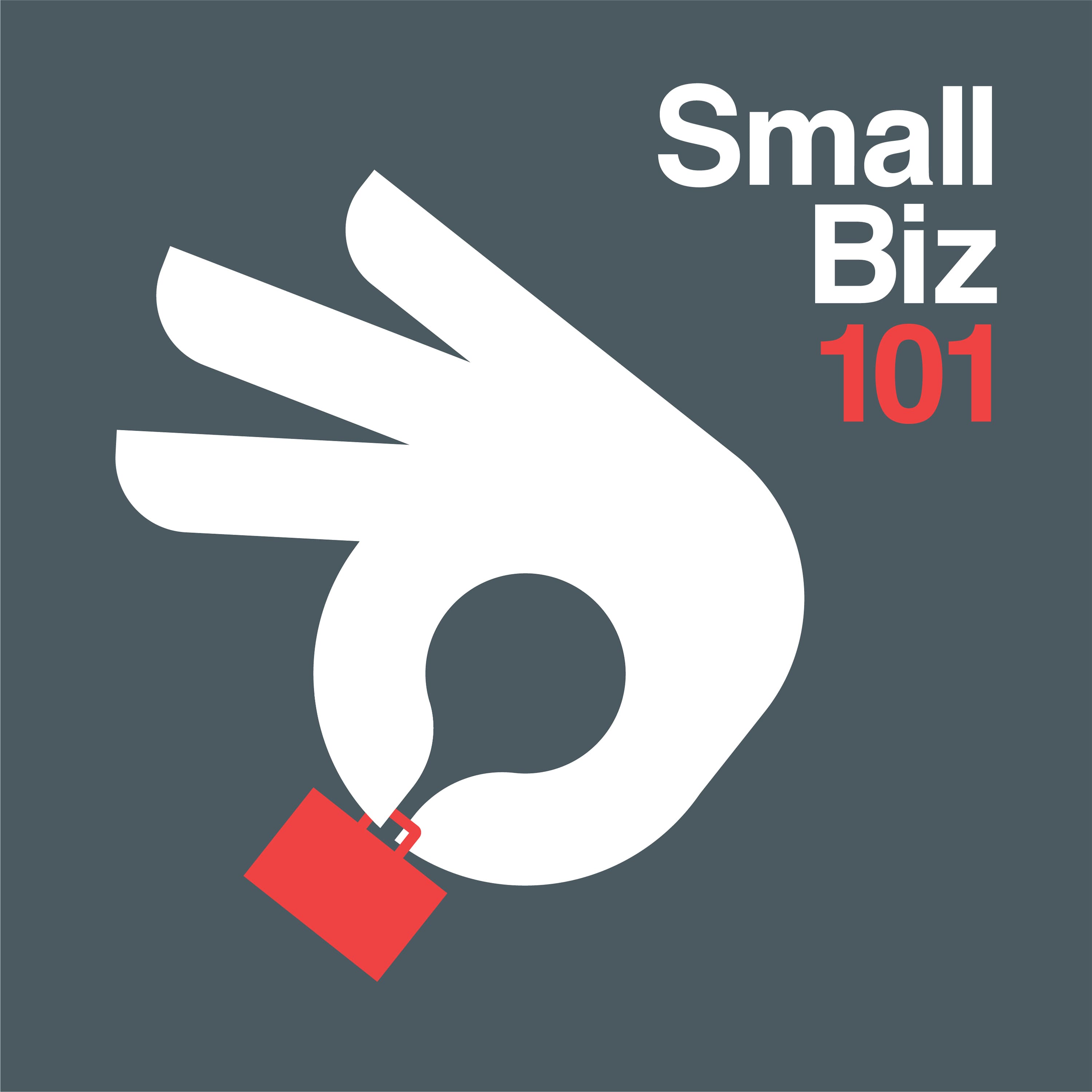 Small Biz 101 Podcast podcast artwork