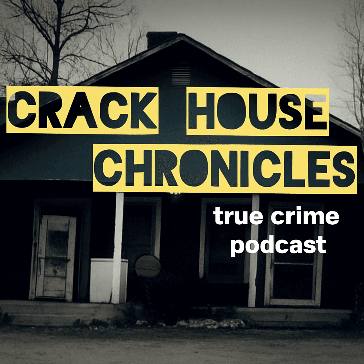 Crack House Chronicles podcast artwork