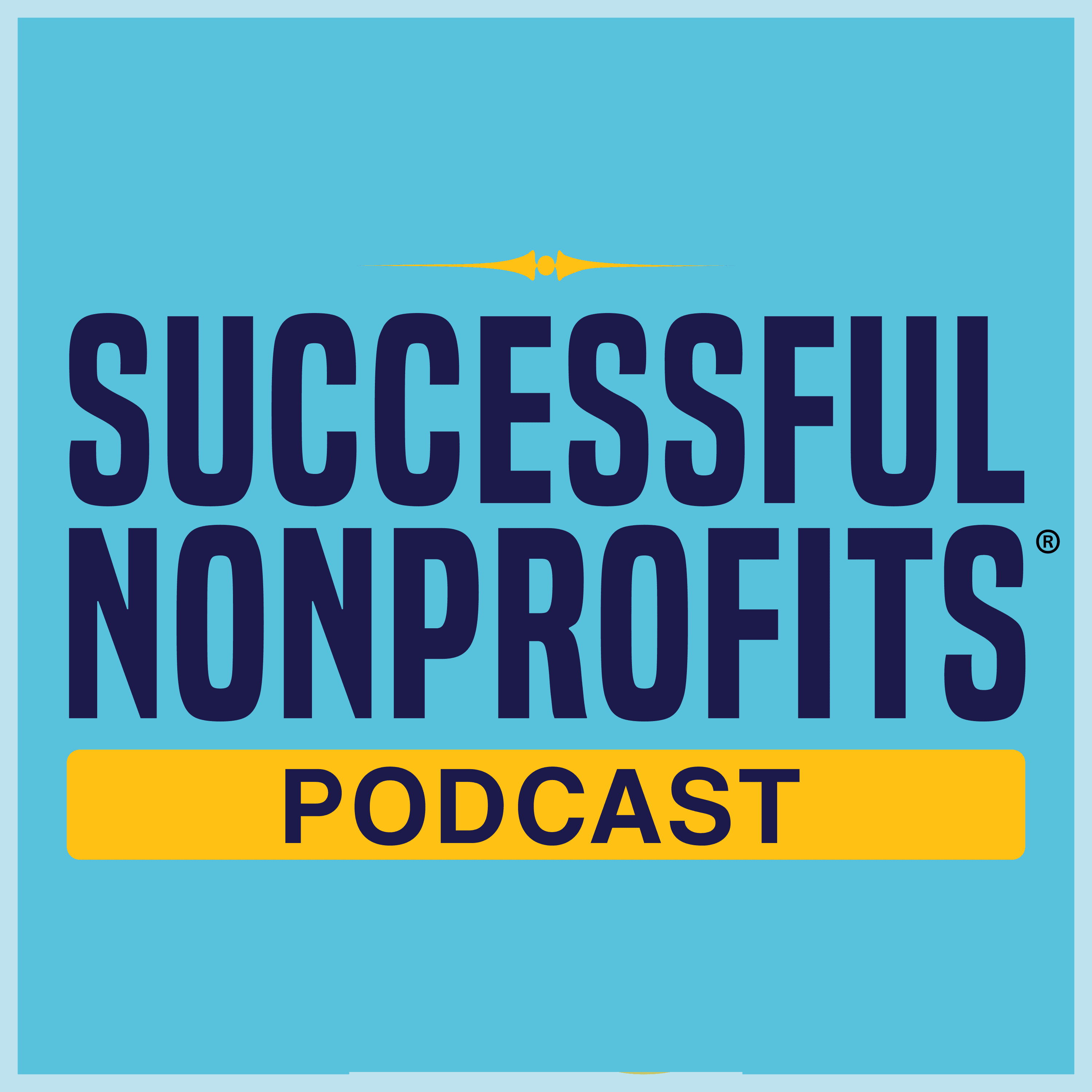 Successful Nonprofits Podcast podcast artwork