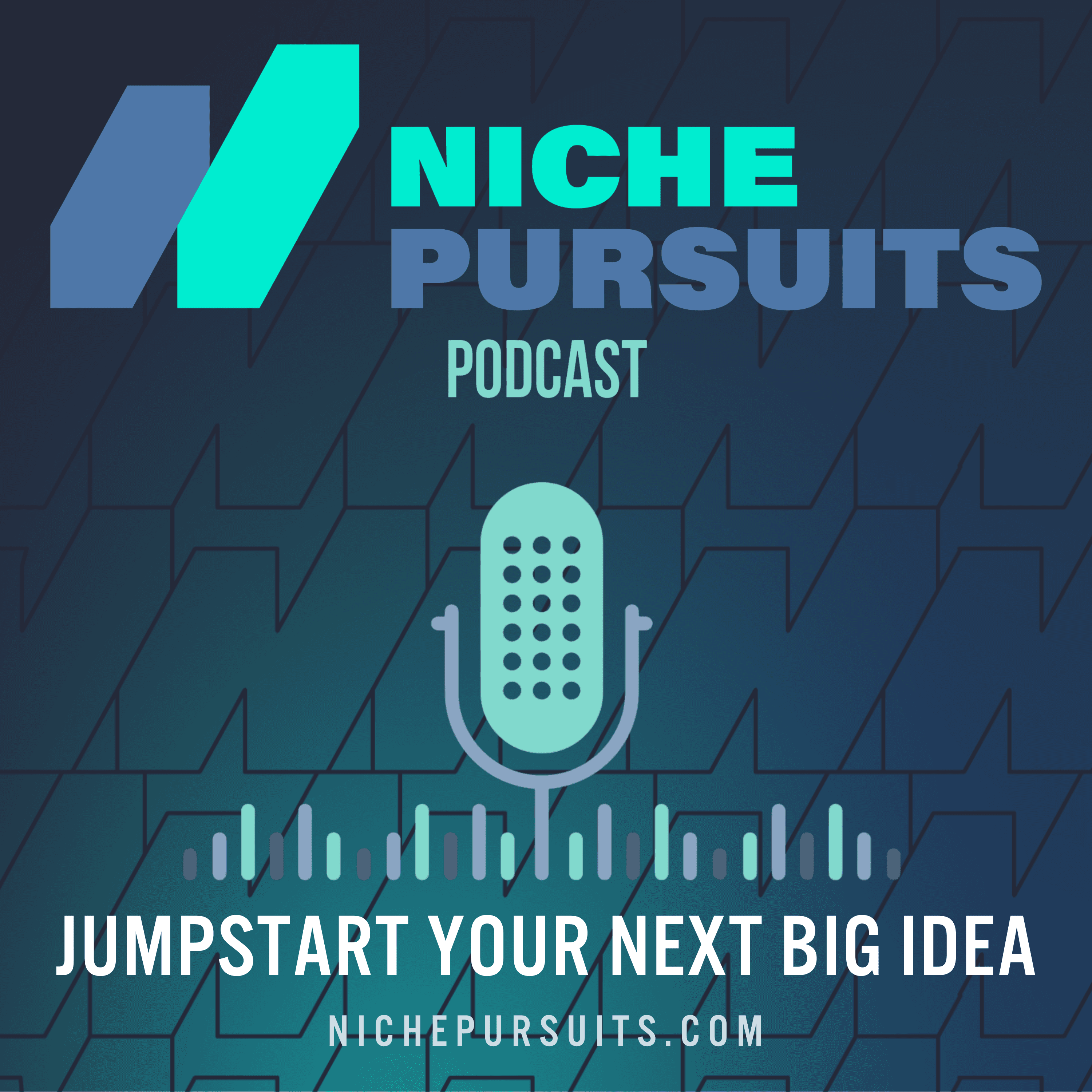 Niche Pursuits Podcast: Find Your Next "Niche" Business Idea! podcast artwork