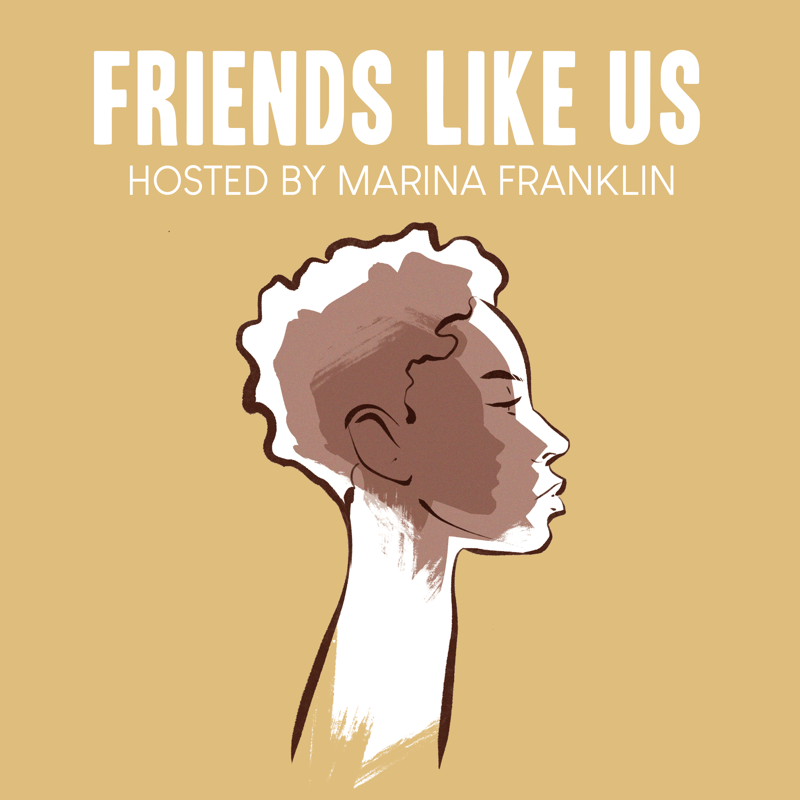Friends Like Us podcast artwork