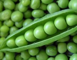 Adam's Peas In A Podcast podcast artwork
