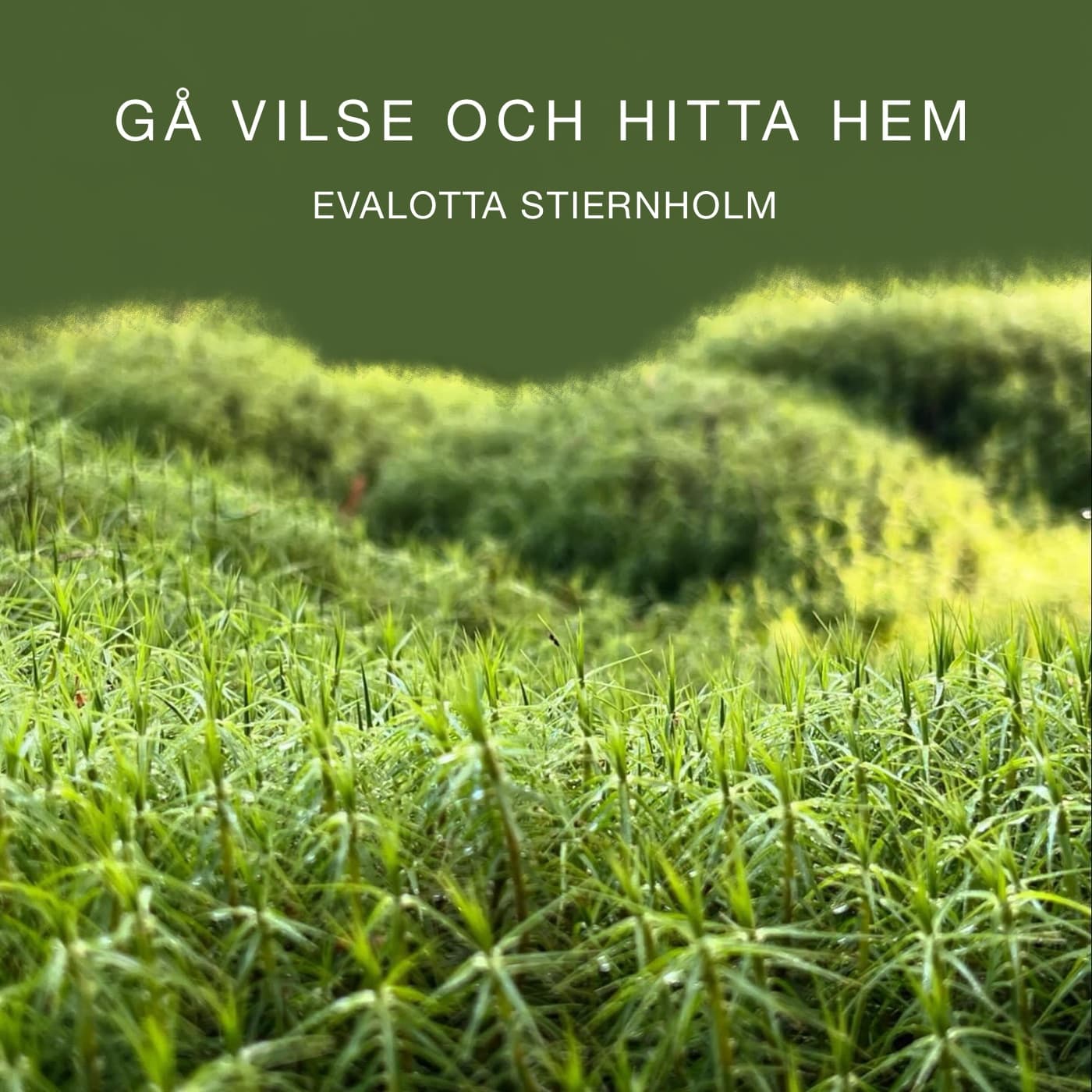 Gå vilse och hitta hem podcast artwork