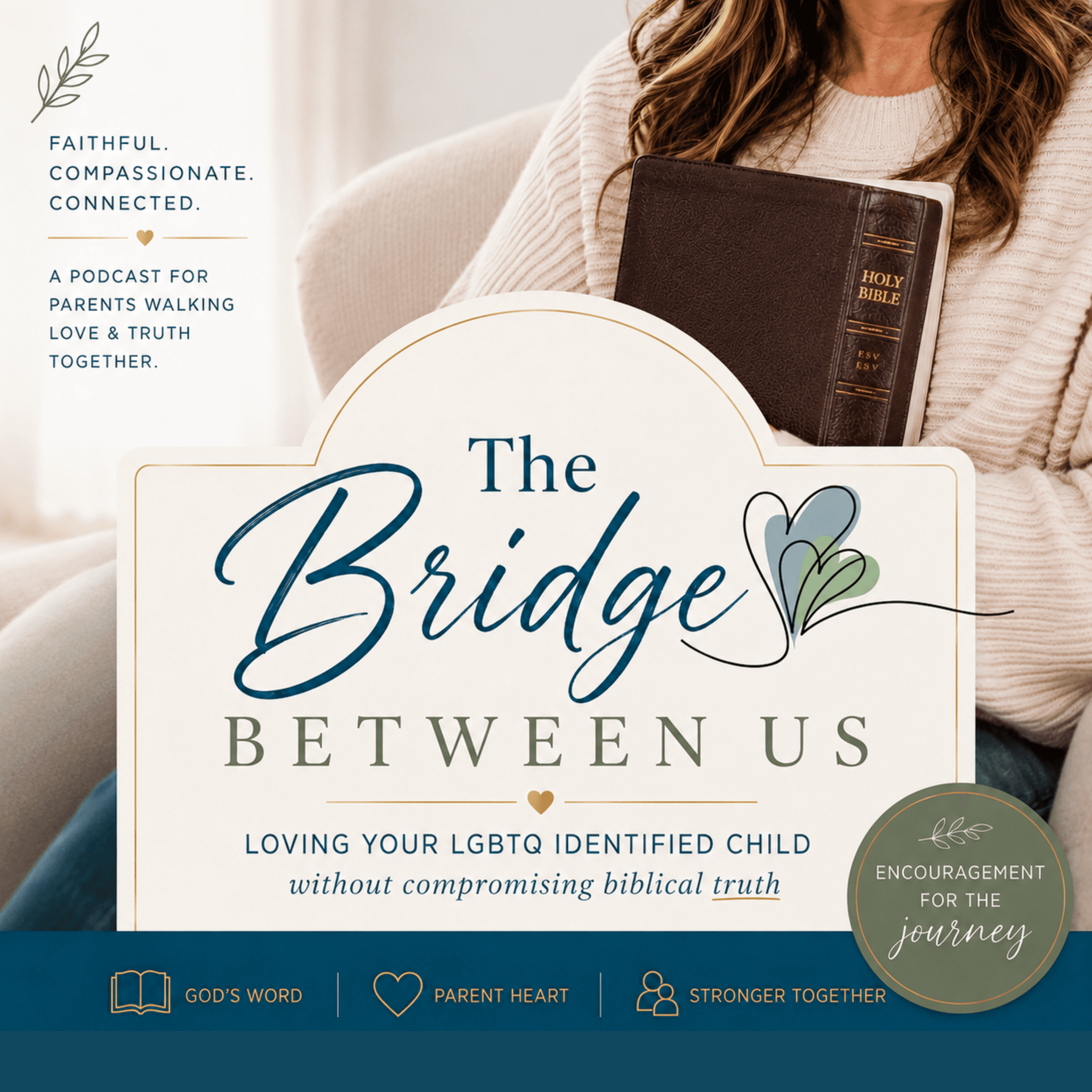 The Bridge Between Us: Loving Your LGBT Identified Child Without Compromising Biblical Truth podcast artwork