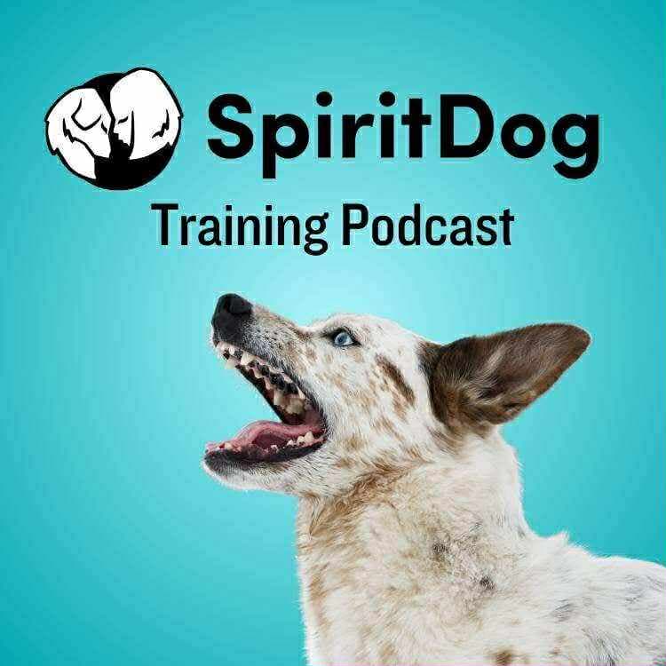 Spirit Dog Training Podcast podcast artwork
