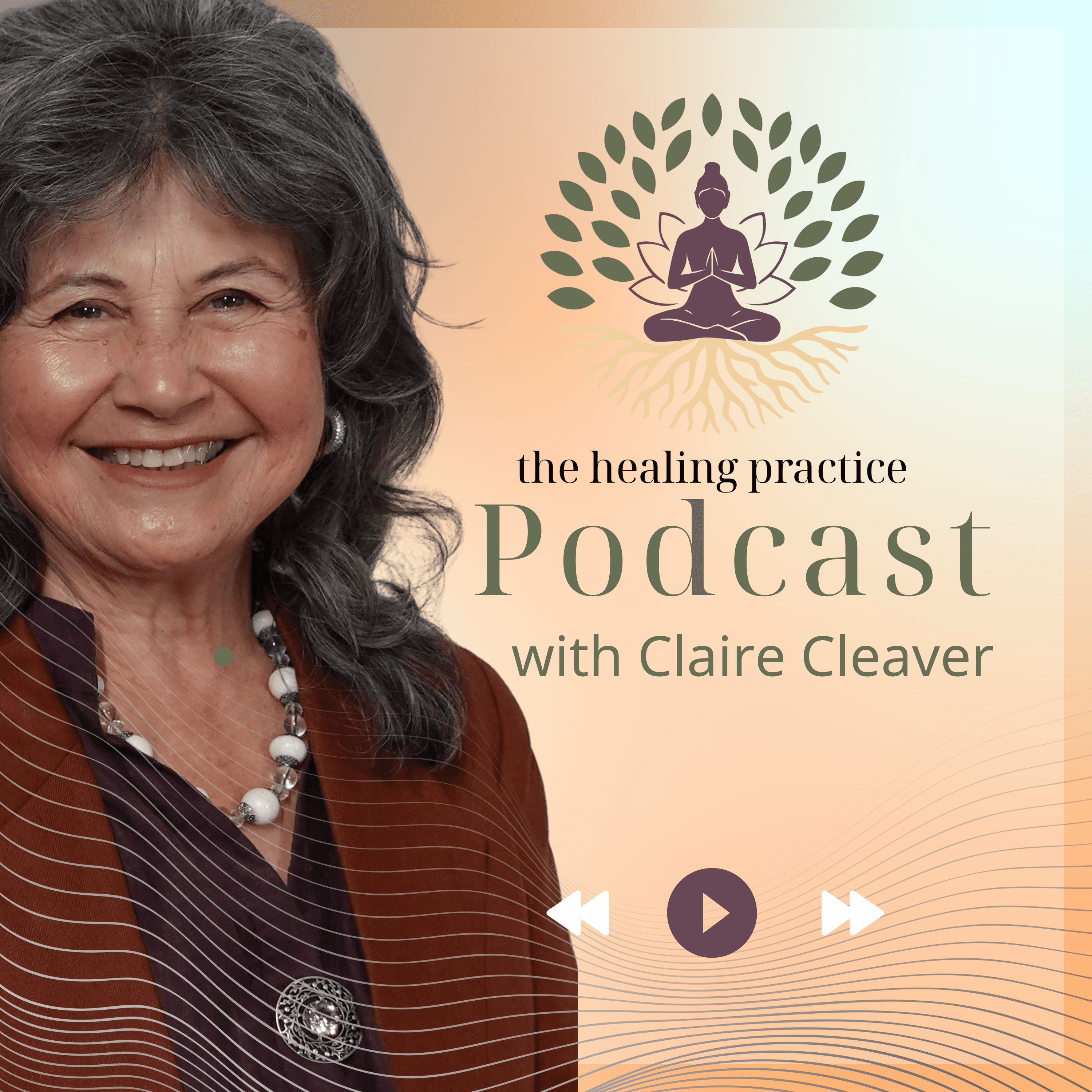 The Healing Practice Podcast: Navigating the Seasons of Womanhood podcast artwork