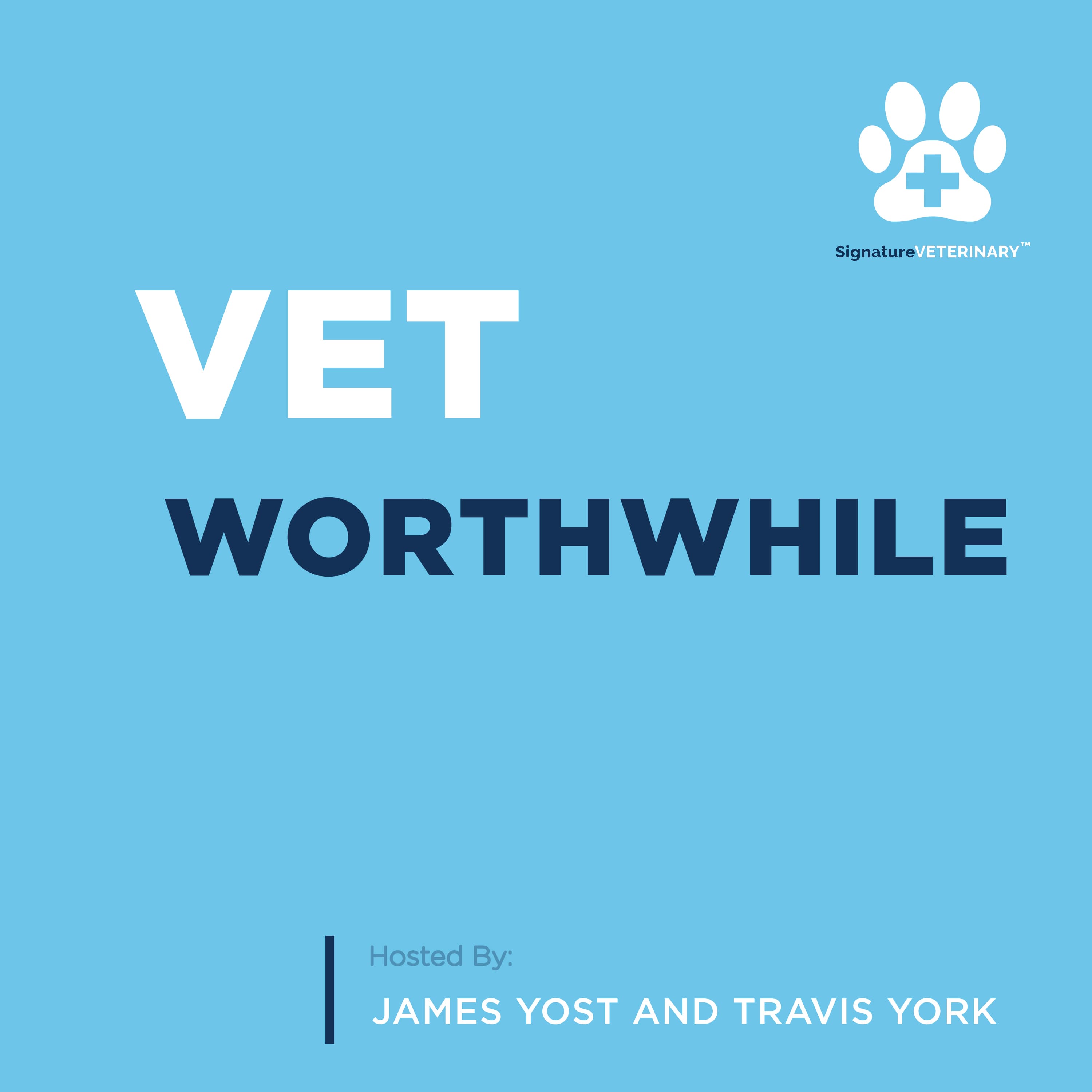 The Vet Worthwhile Podcast podcast artwork