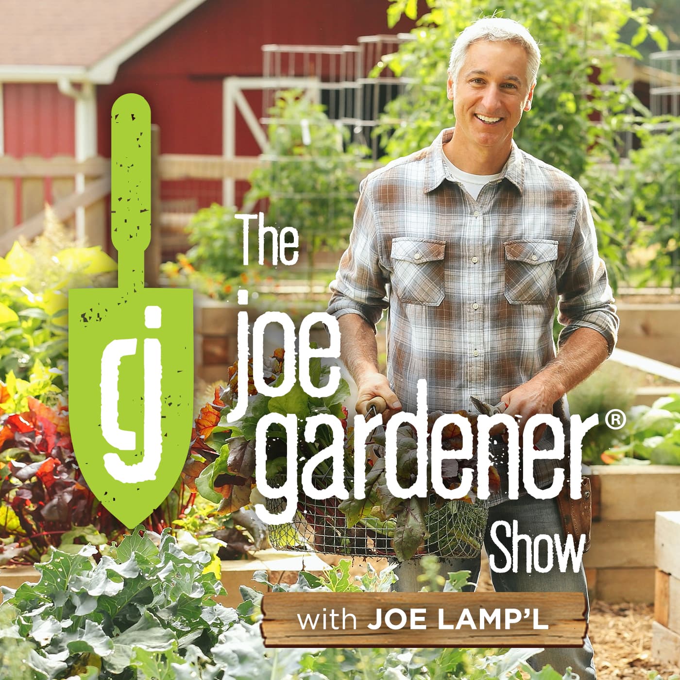 The joe gardener Show - Organic Gardening - Vegetable Gardening - Expert Garden Advice From Joe Lamp'l podcast artwork