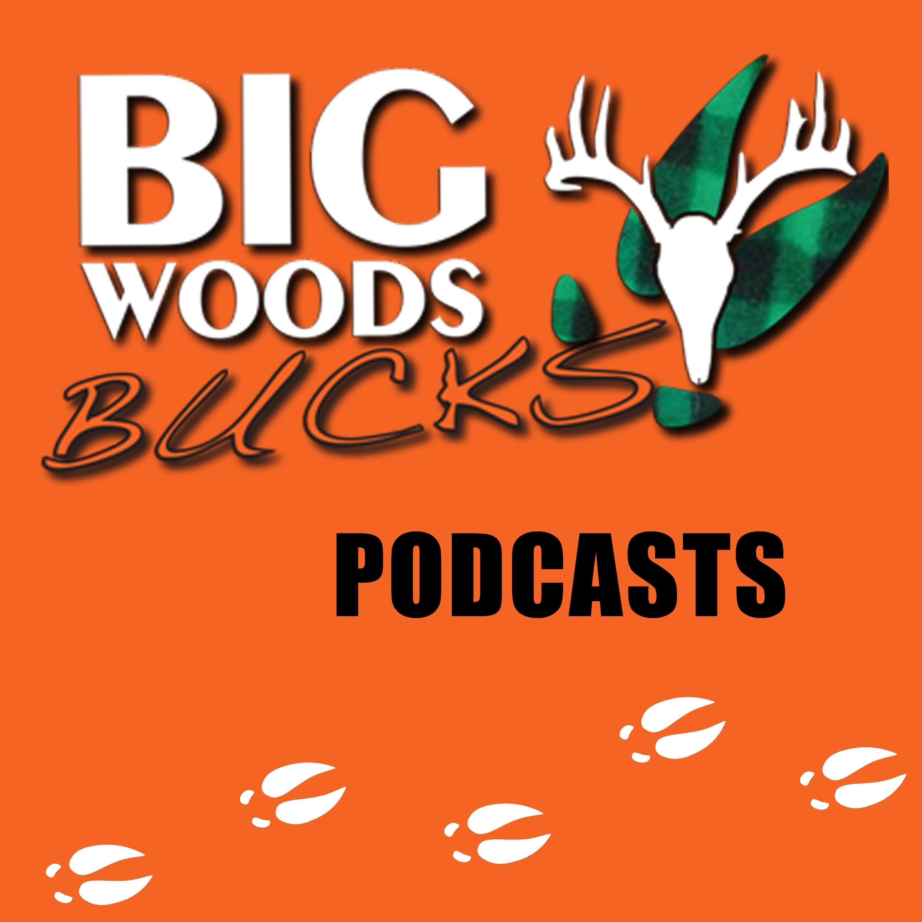 Big Woods Bucks - Deer Hunting -Education & Entertainment podcast artwork