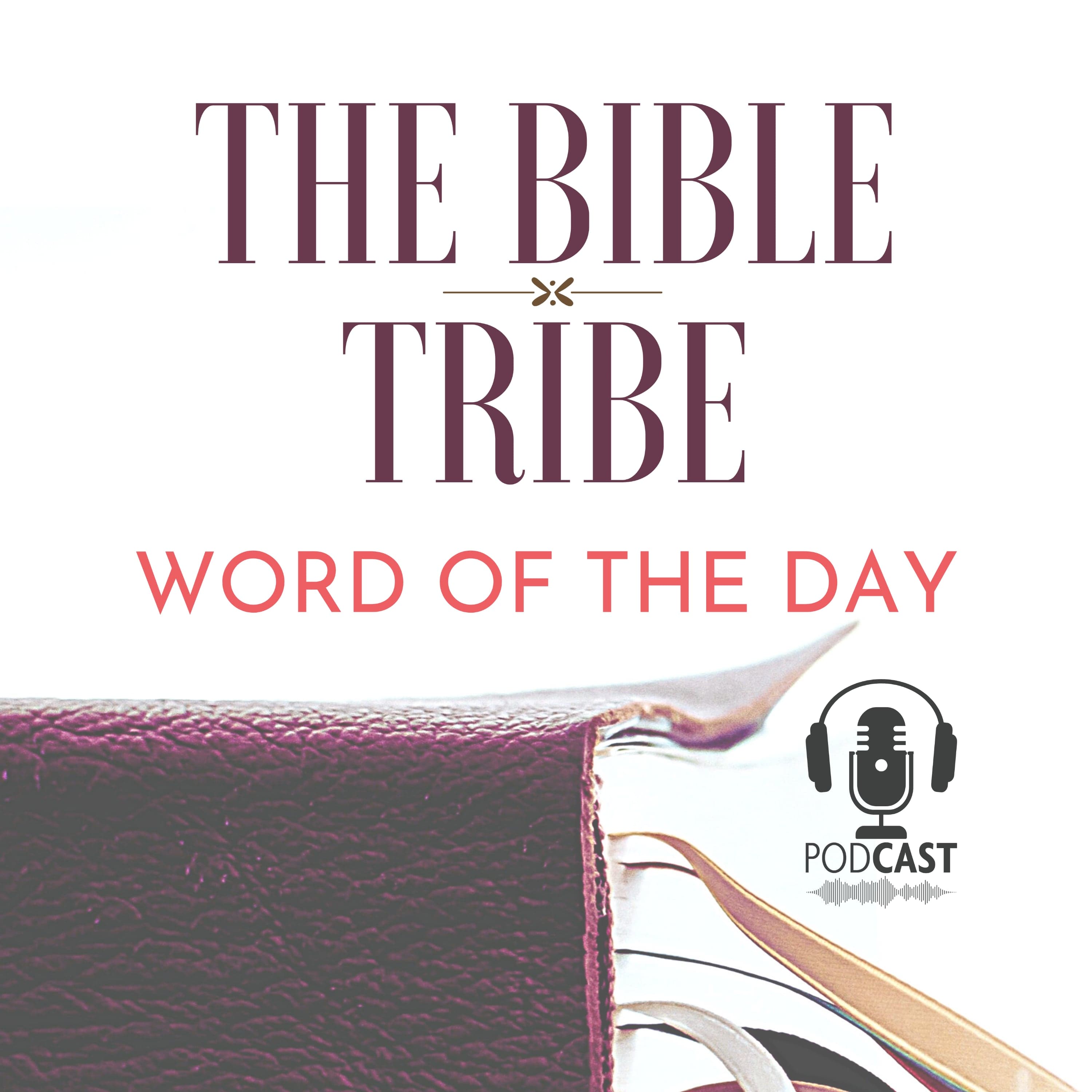The Bible Tribe Podcast podcast artwork
