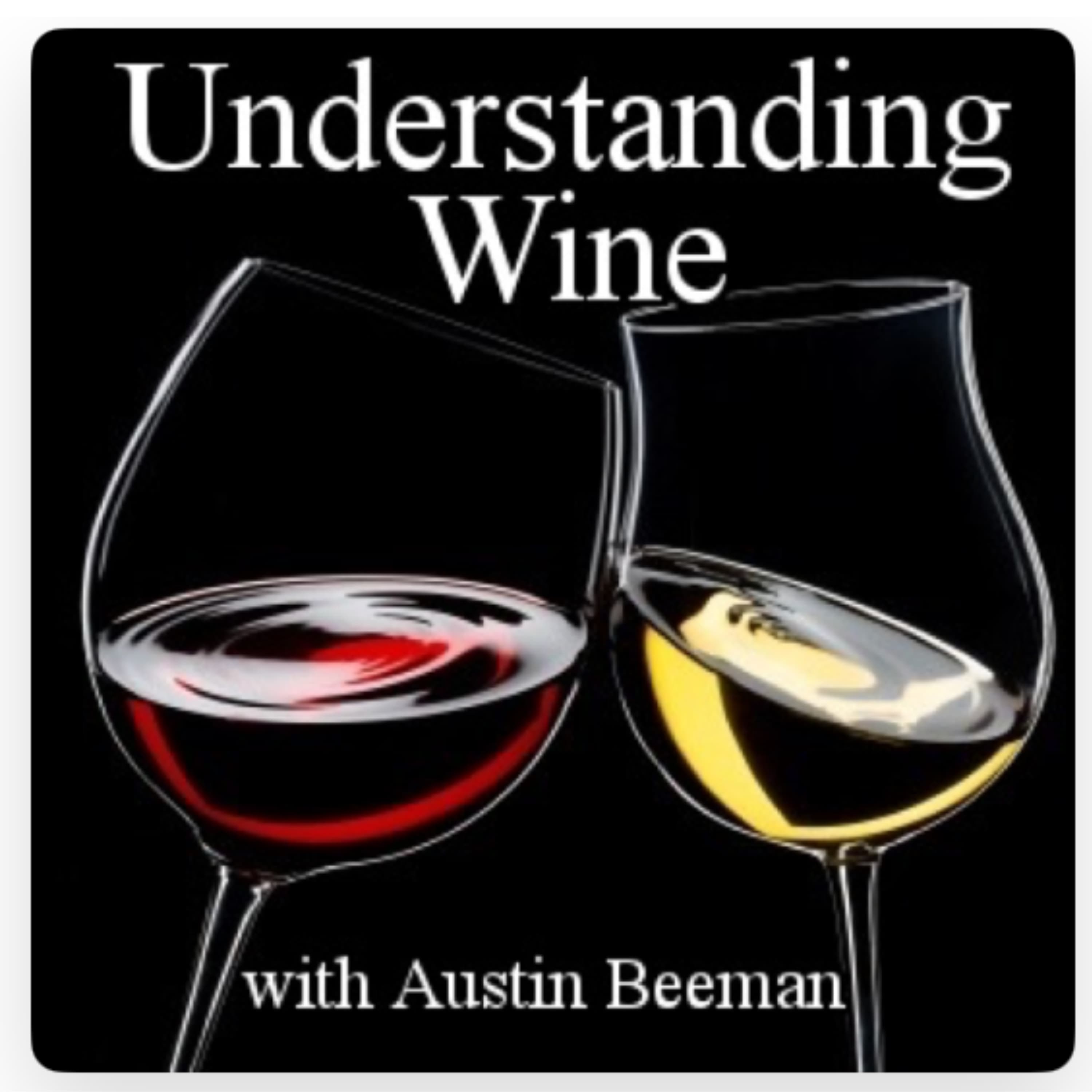 Understanding Wine with Austin Beeman | Video | Wine Country Travel | Wine Life podcast artwork