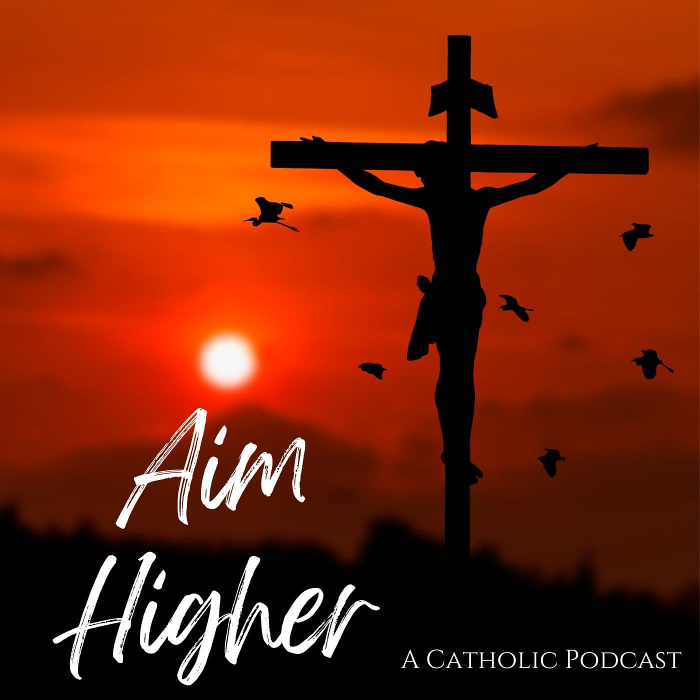 Aim Higher Catholic Podcast podcast artwork