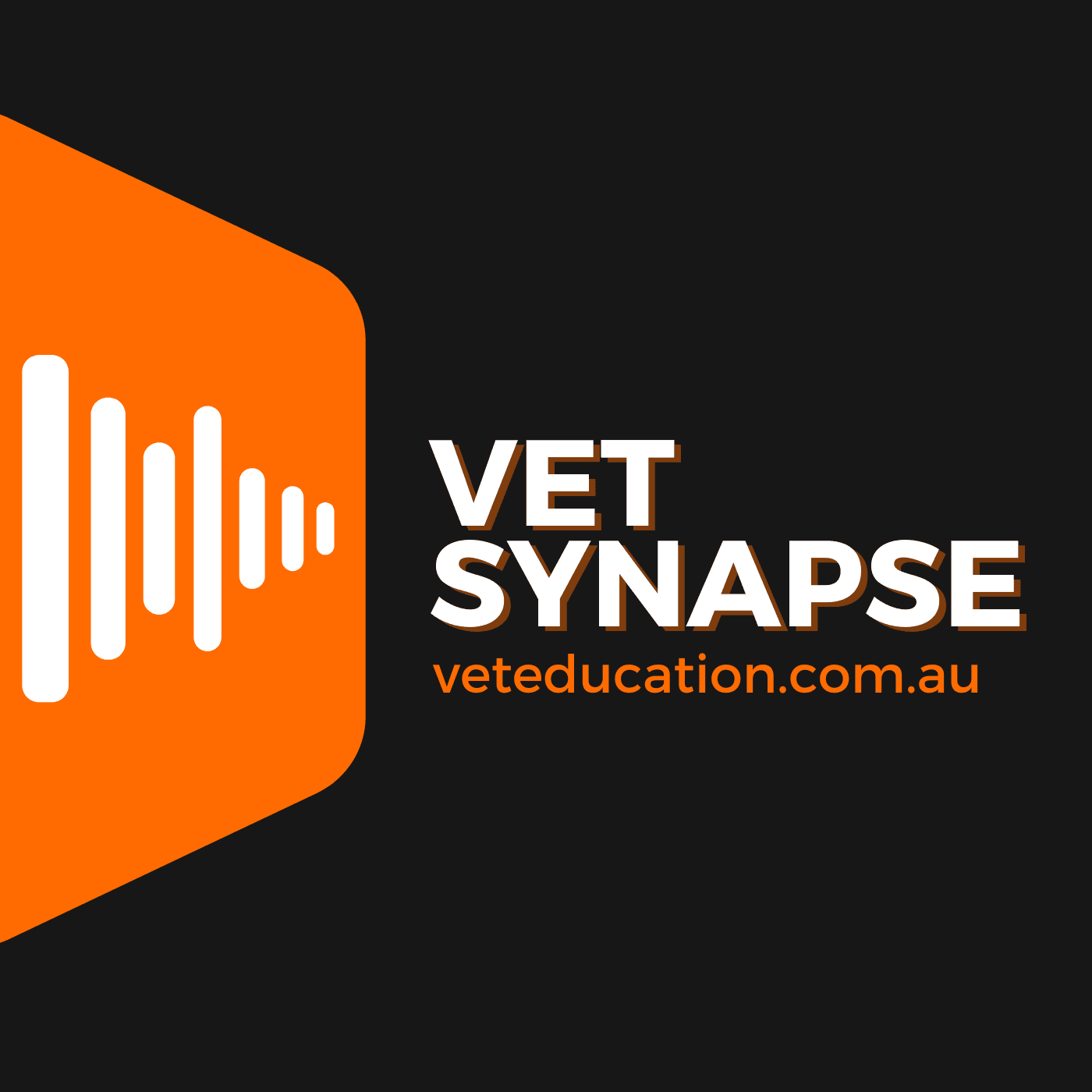 Vet Synapse Podcast by Vet Education podcast artwork
