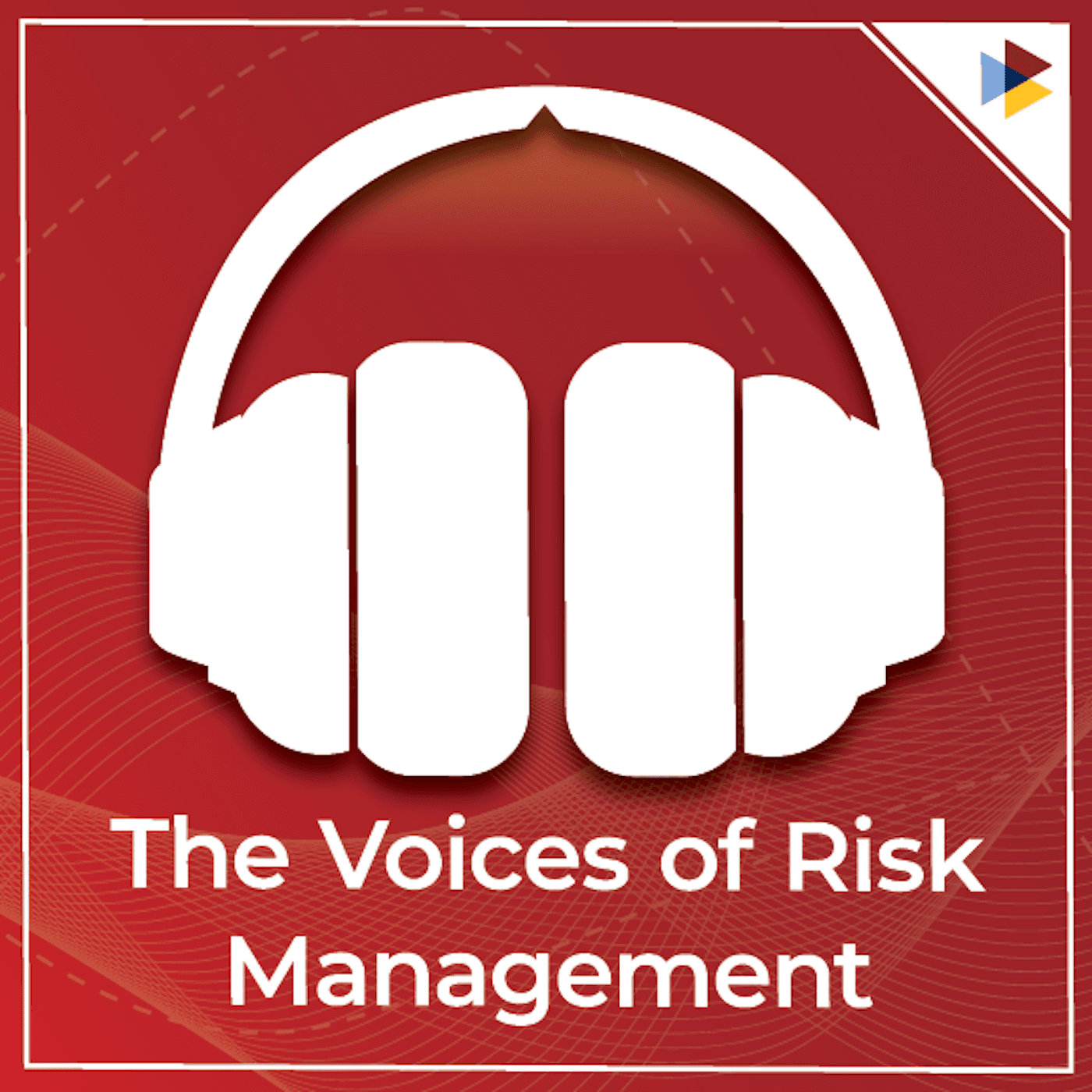 The Voices of Risk Management podcast artwork
