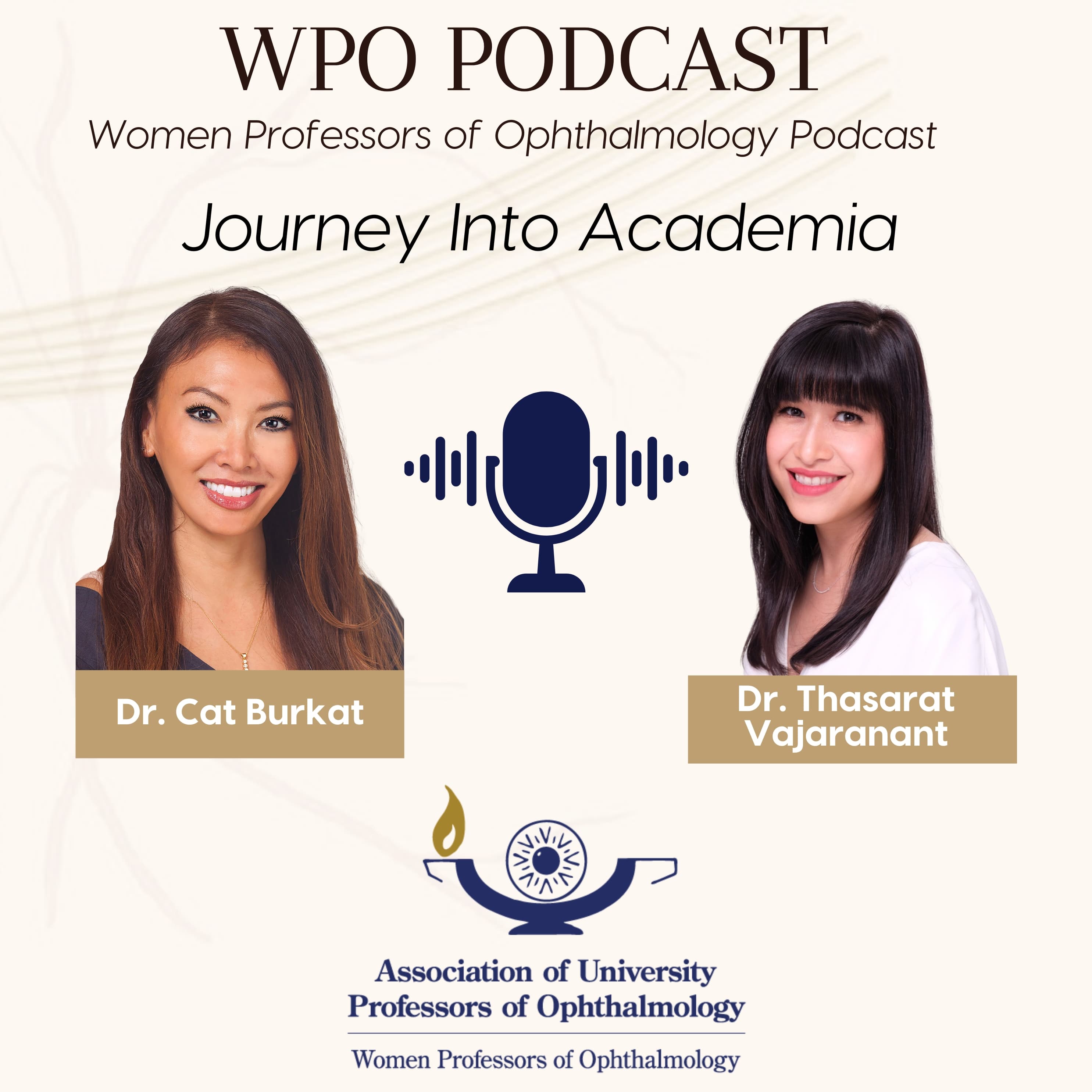 WPO Podcast - Journey Into Academia podcast artwork