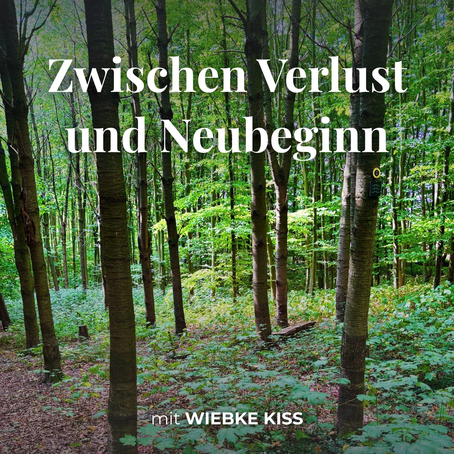 Zwischen Verlust und Neubeginn podcast artwork