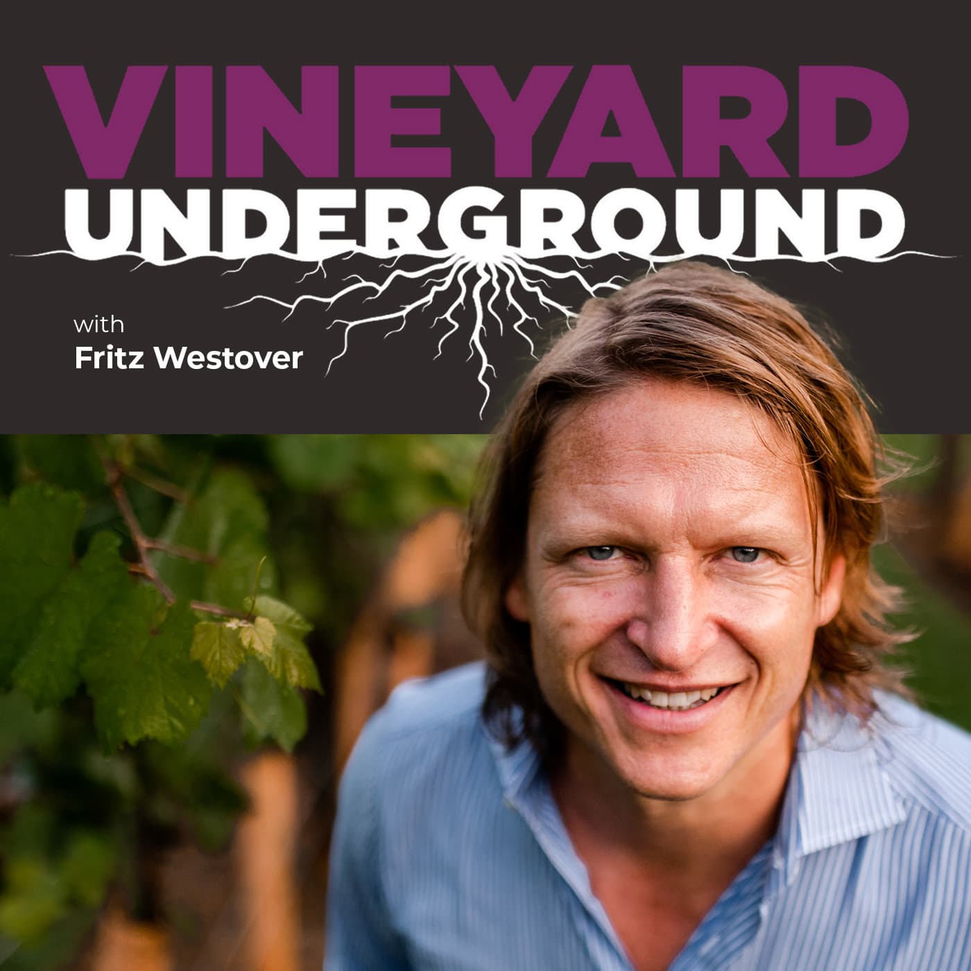 Vineyard Underground podcast artwork