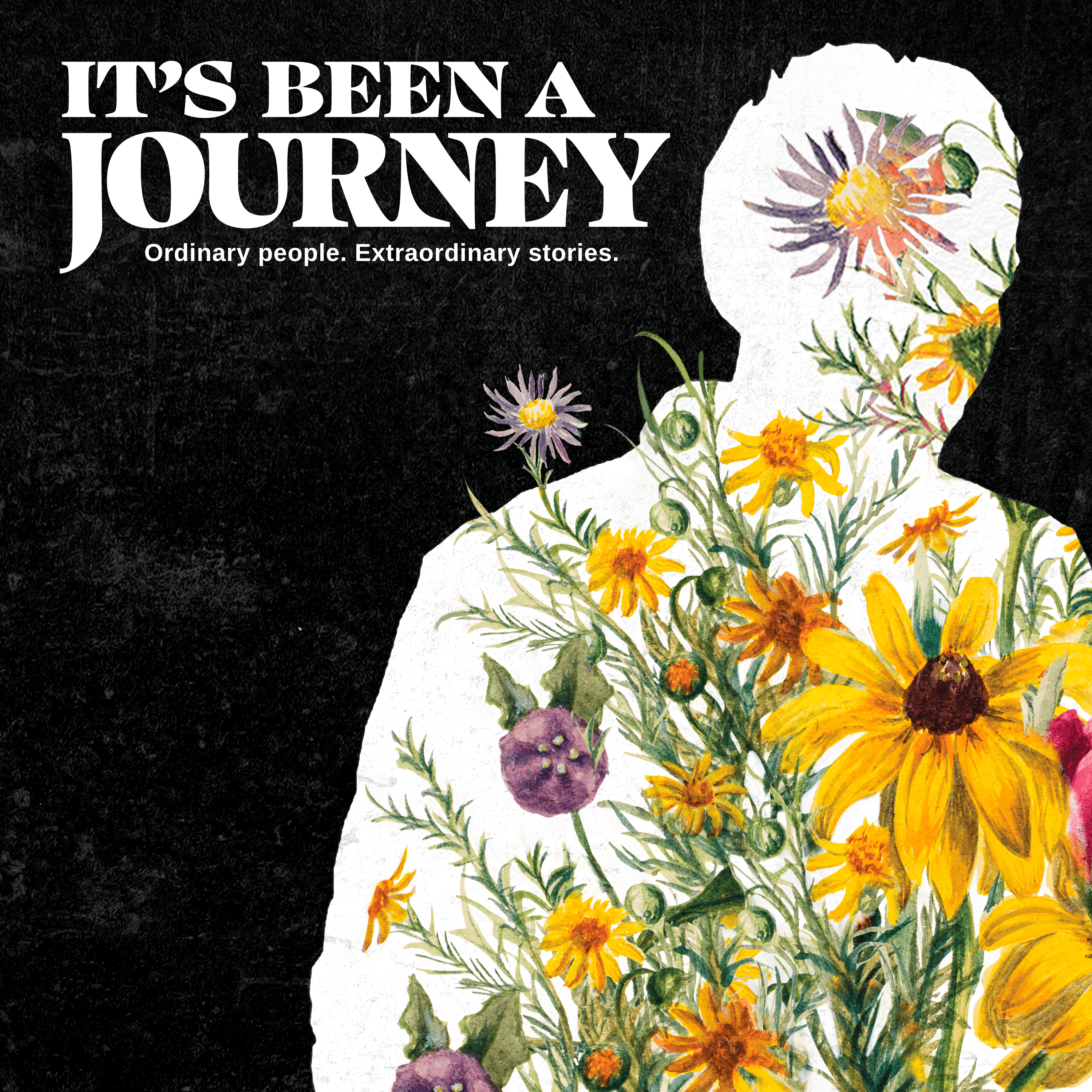 It's Been A Journey Podcast podcast artwork