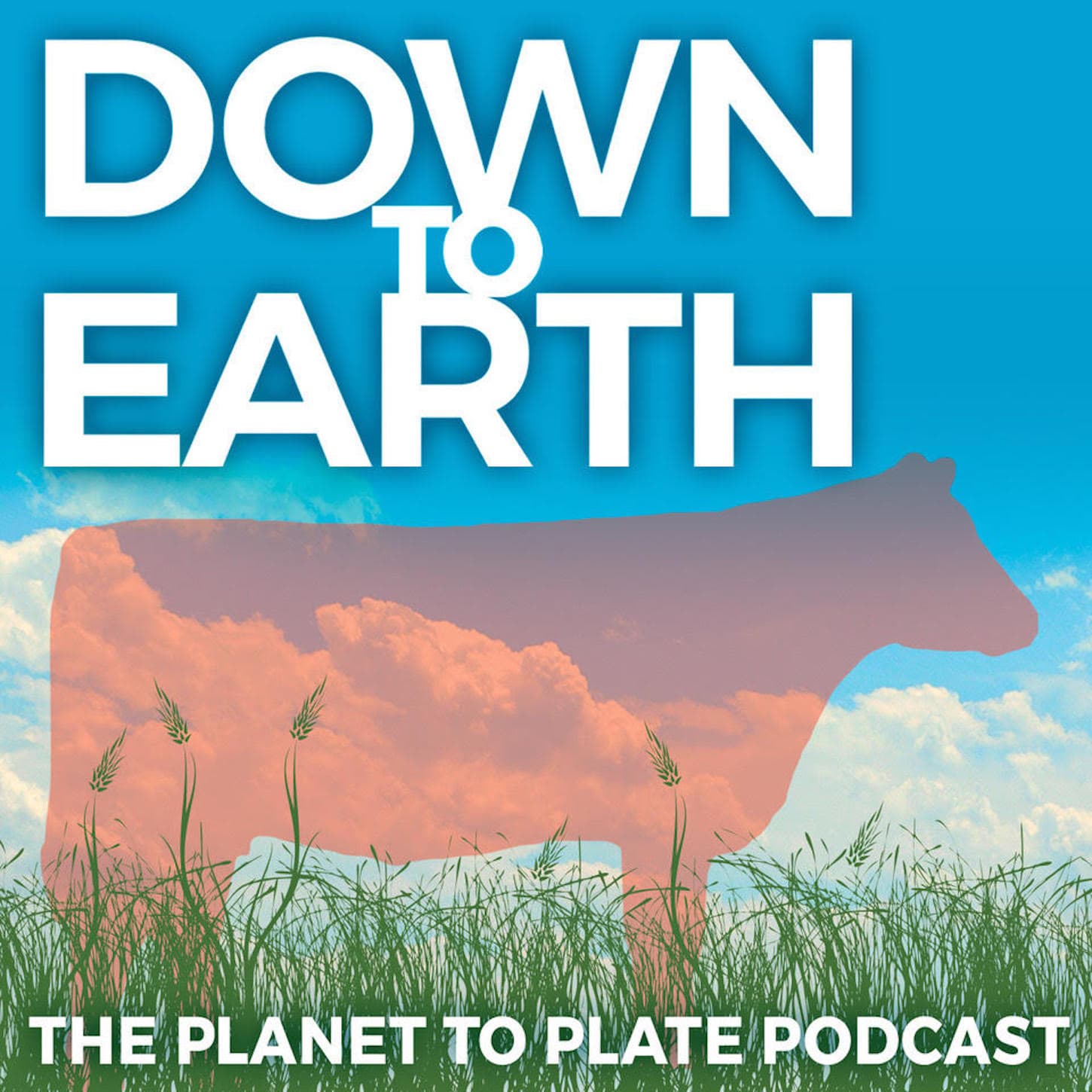 Down to Earth: The Planet to Plate Podcast podcast artwork