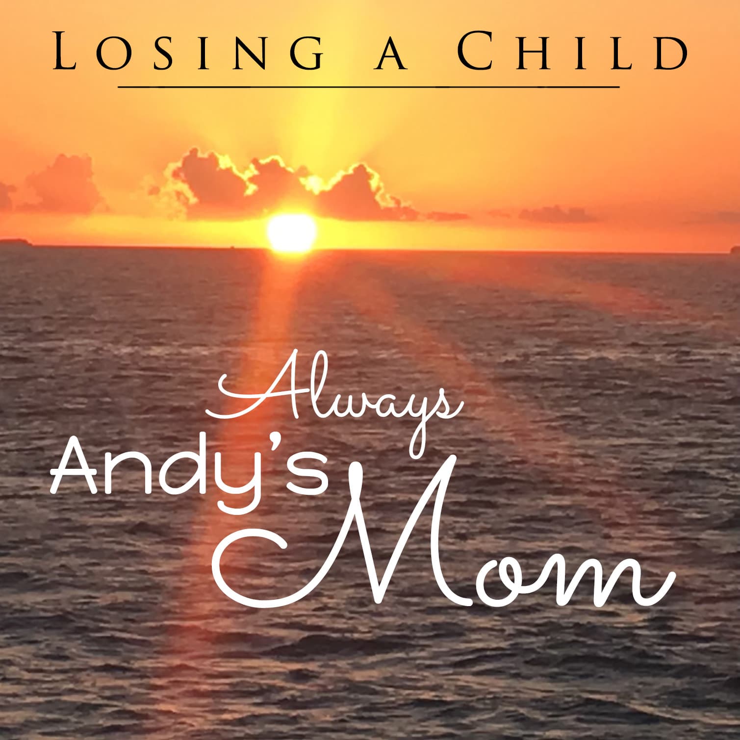 Losing a Child: Always Andy's Mom podcast artwork