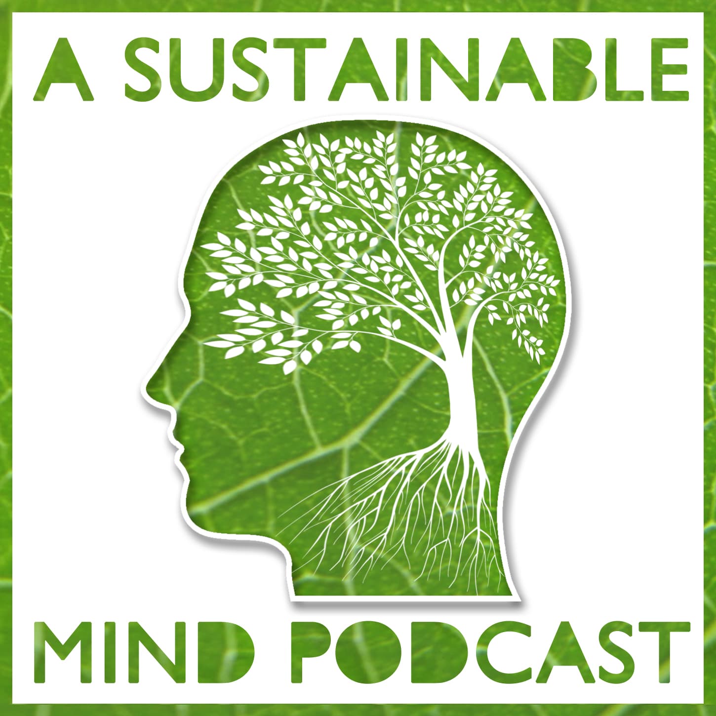 A Sustainable Mind - environment & sustainability podcast podcast artwork