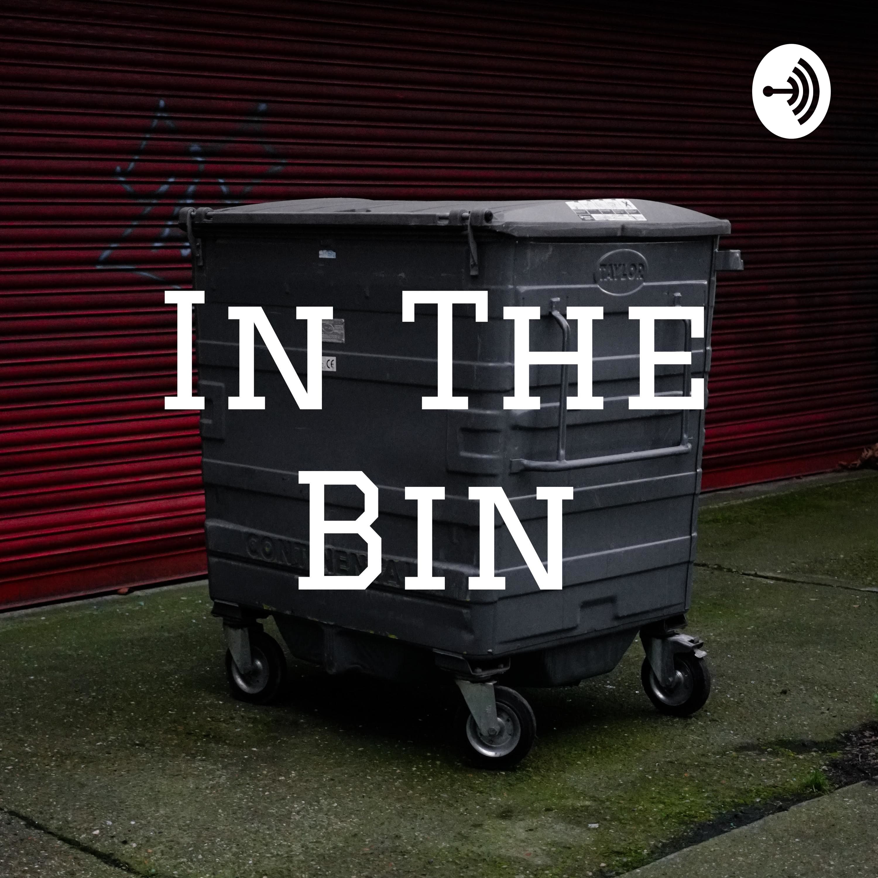 In the Bin podcast artwork