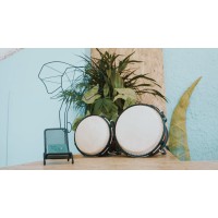 The Bongos logo
