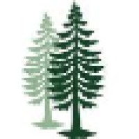 Fir Tree logo